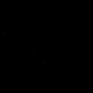 Meet your Posher, Katrina